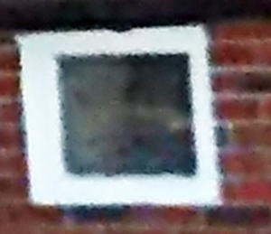 Face in the window
